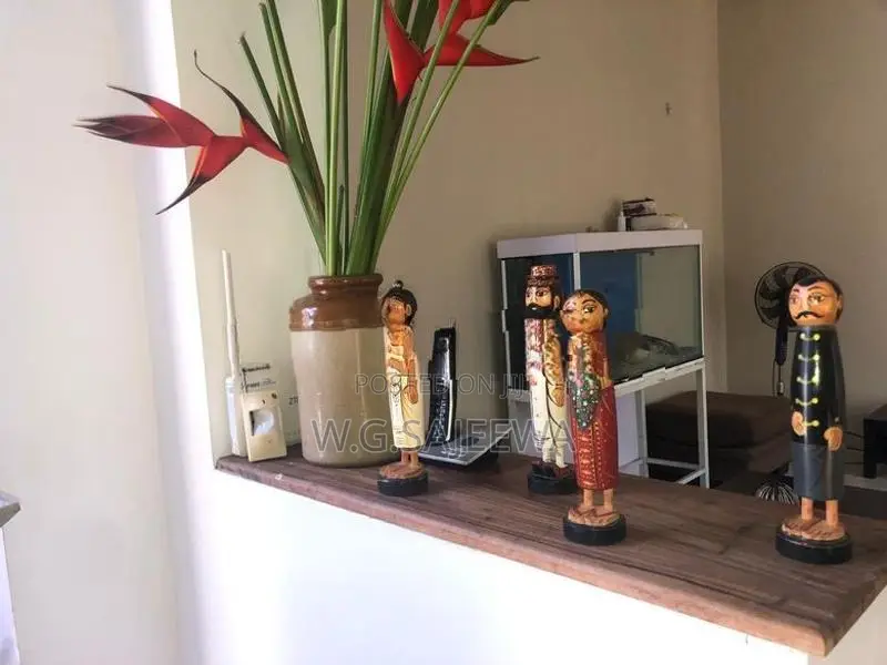 Furnished Complete House Rent in Seeduwa