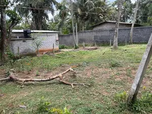 ගම්පහ කිරිදිවැලින් වටිනා ඉඩමක්