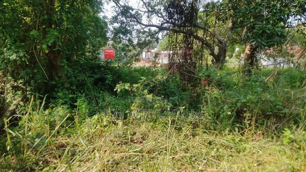 236 Perch Land for Sale in Dambulla