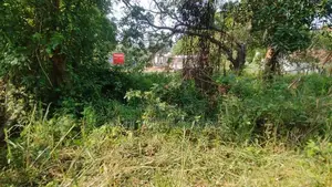 236 Perch Land for Sale in Dambulla