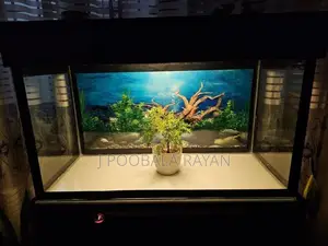 3 Feet Fish Tank