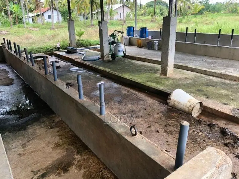 Land For Sale Chilaw