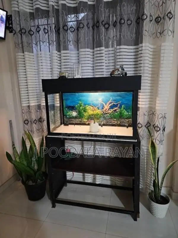3 Feet Fish Tank
