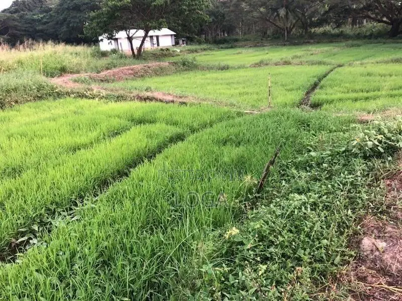 Land For Sale Chilaw