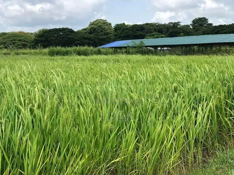 Land For Sale Chilaw
