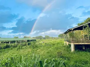 Land For Sale Chilaw