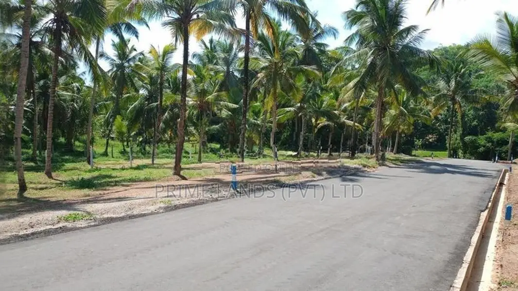 කඩවත - පර්10 බිම් කොටස්