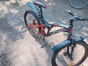 Lumstar Bicycle