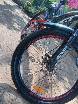Lumstar Bicycle