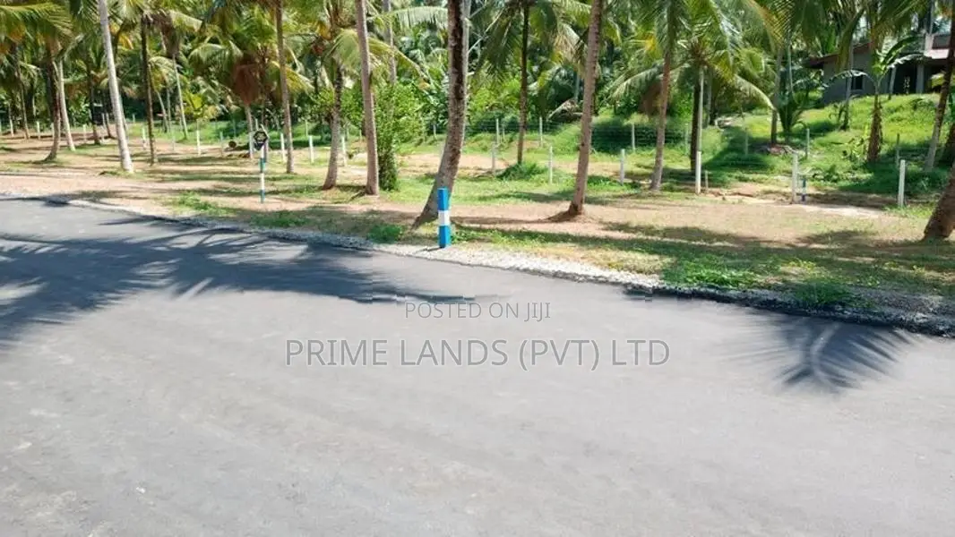 කඩවත - පර්10 බිම් කොටස්