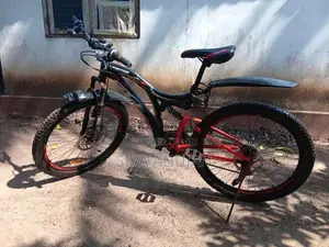 Lumstar Bicycle