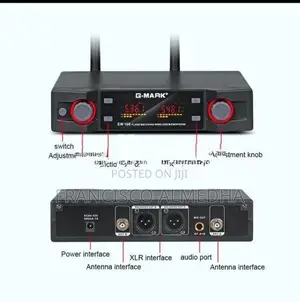 G Mark EW-100 Levelier Wireless Pro Mic
