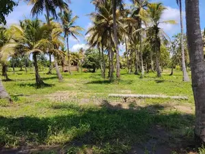 අනුරාධපුර නාච්චාදූව පාරෙන් බිම් කොටස්