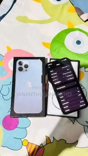 Apple iPhone 13 Pro Max (Used)