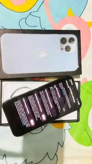 Apple iPhone 13 Pro Max (Used)
