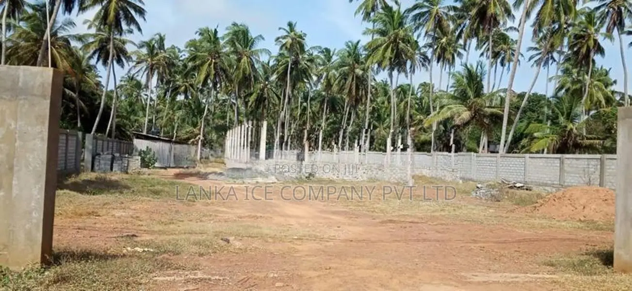 නයිනමඩමෙන් අගනා ඉඩමක් විකිණීමට