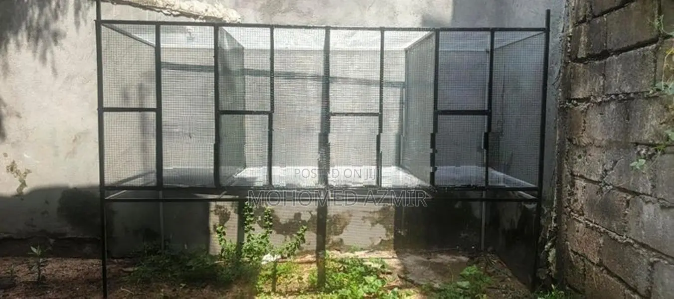 Bird Cage