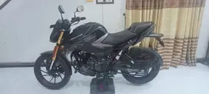 Hero Hunk 160R 2025