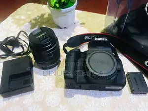 Canon EOS Rebel T7i / 800D Camera