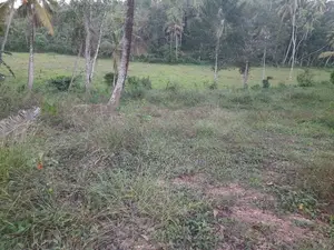 154 Perches Land for Sale in Kotawila, Matara (SSPL-429)