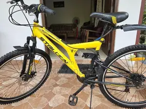 Stallion Bicycle