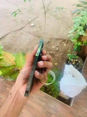 Apple iPhone 13 Pro (Used)