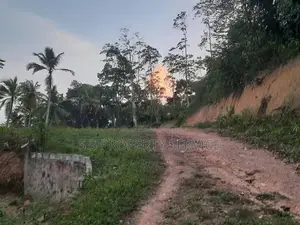154 Perches Land for Sale in Kotawila, Matara (SSPL-429)