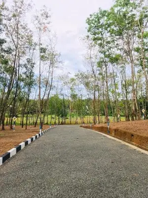Land for Sale in Panadura Malamulla