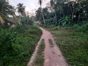 154 Perches Land for Sale in Kotawila, Matara (SSPL-429)