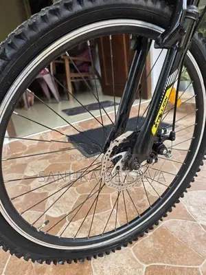 Stallion Bicycle