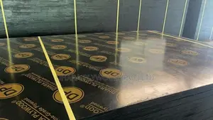 DP Film Faced Plywood (15mm)