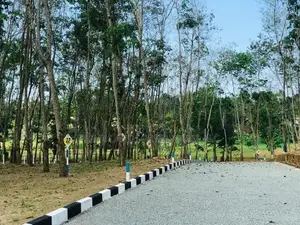Land for Sale in Panadura Malamulla
