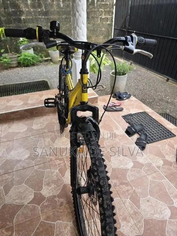 Stallion Bicycle