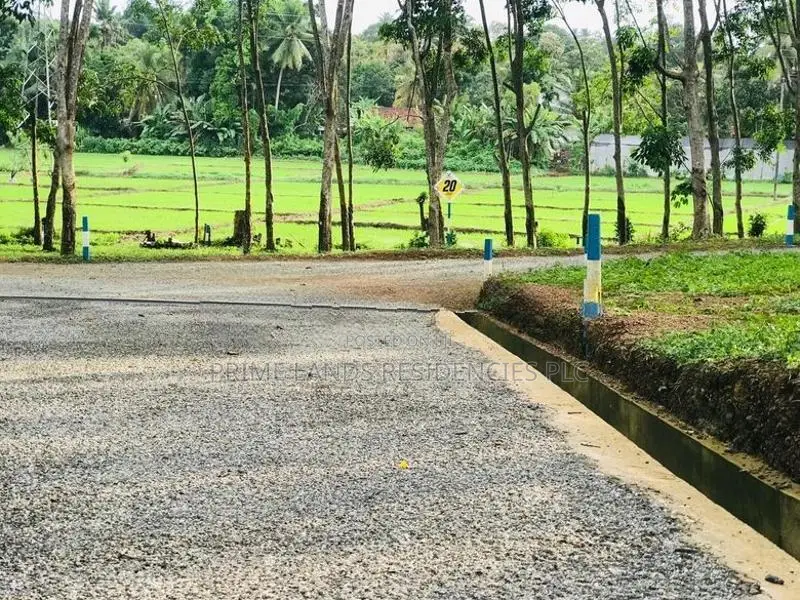 Land for Sale in Panadura Malamulla