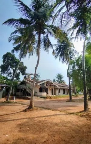 Ja Ela Bopitiya Road Luxury Land Plots for Sale Uswetakeiyawa