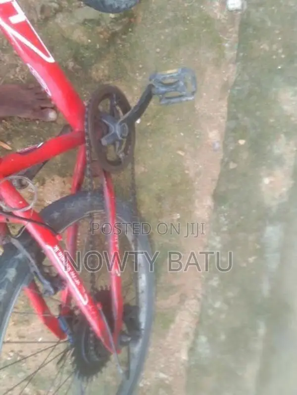 Bicycle