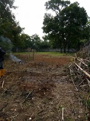 Land for Sale in Kuliyapitiya
