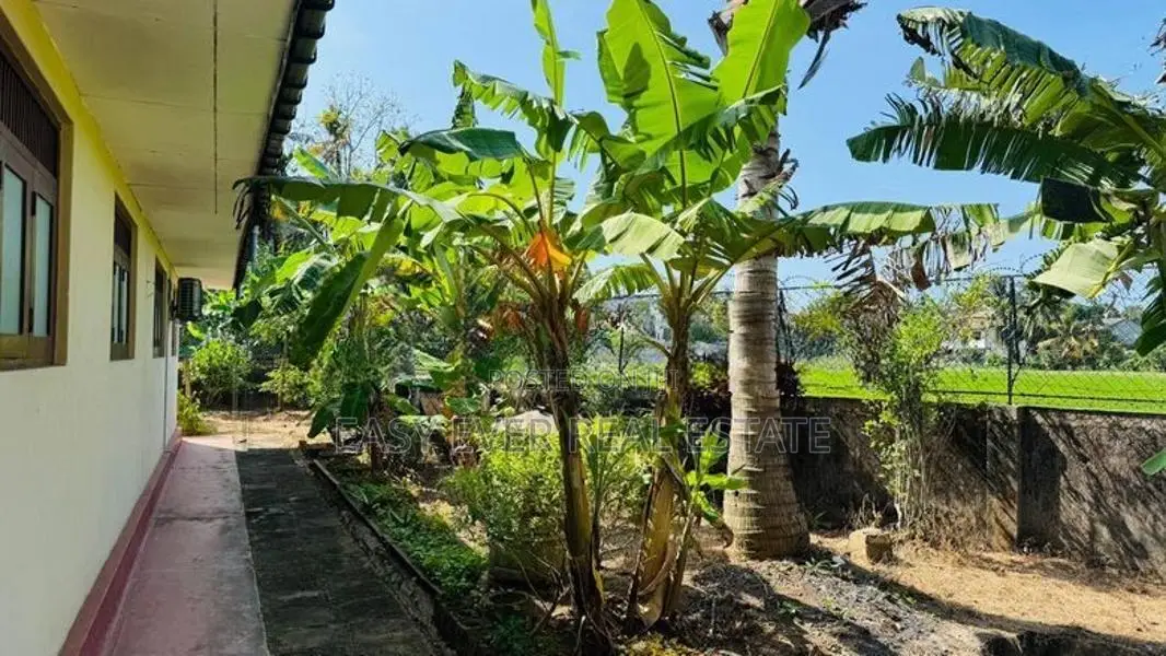 පානදුරෙන් සුපිරි ඉඩමක් විකිණීමට වෙල්යායකට මුහුණලා