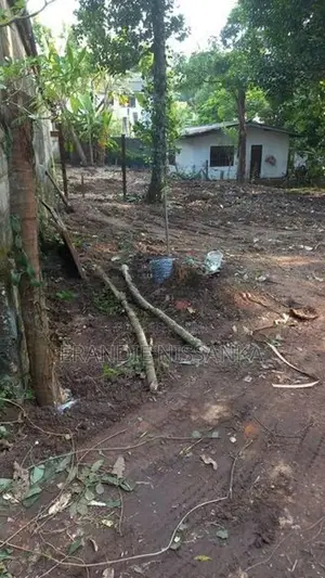 Residential Land for Sale – Mahara, Sirimawo Bandaranayake Mawatha