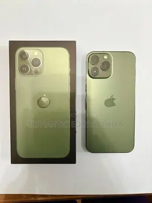 Apple iPhone 13 Pro Max (Used)