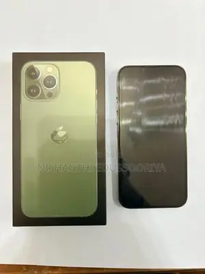 Apple iPhone 13 Pro Max (Used)