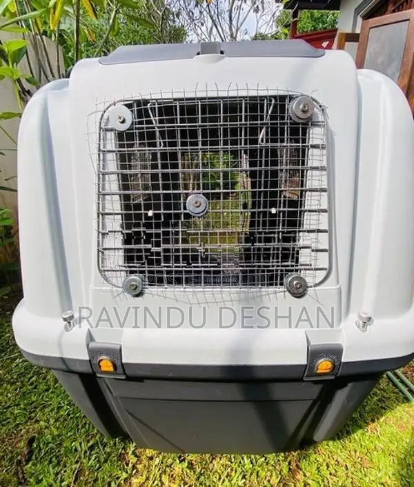 Travelling Dog Cage