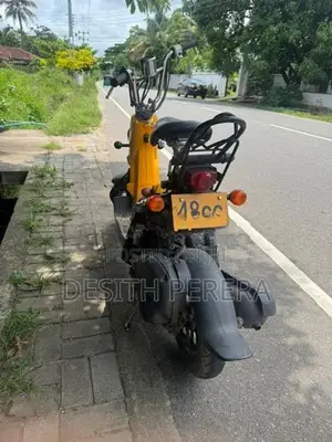Honda Bite 2019
