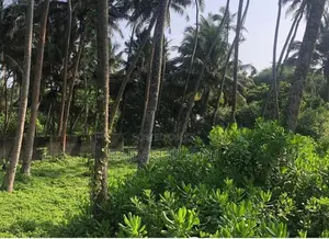 Land for Sale Aluthgama