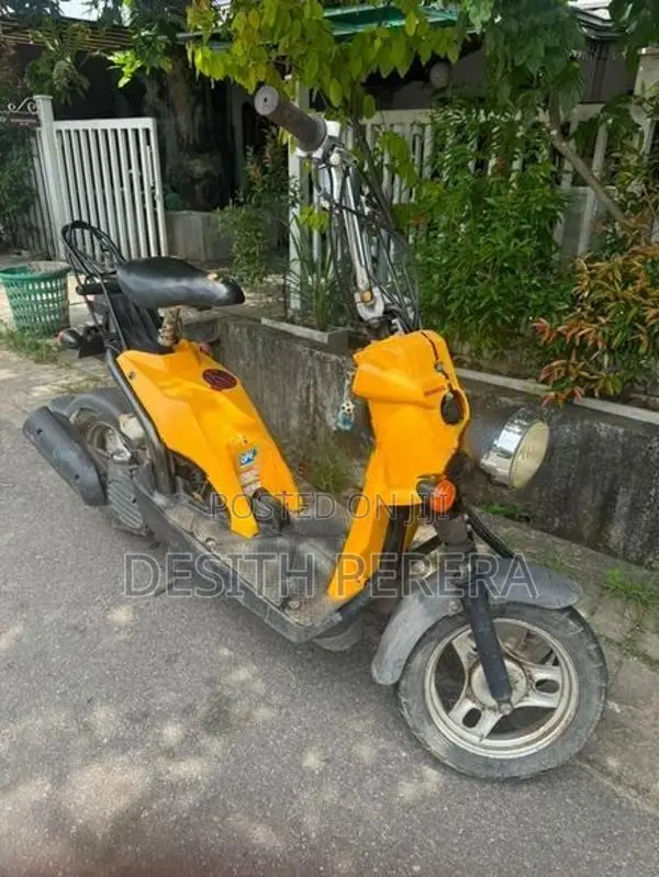 Honda Bite 2019