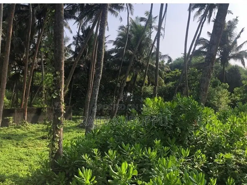 Land for Sale Aluthgama