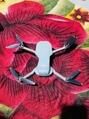 DJI Mini 2SE