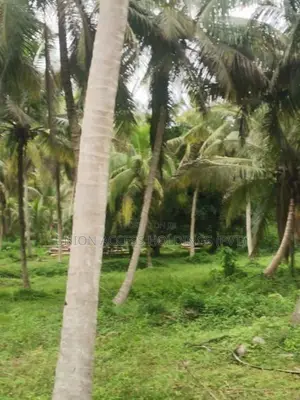 කුරුණෑගල, විරඹුගෙදර ආසන්නයෙන් පොල් ඉඩමක් විකිණීමට