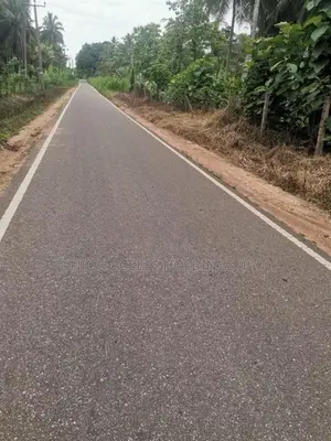 කුරුණෑගල, විරඹුගෙදර ආසන්නයෙන් පොල් ඉඩමක් විකිණීමට