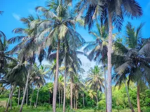 Land for Sale Thanthirimale